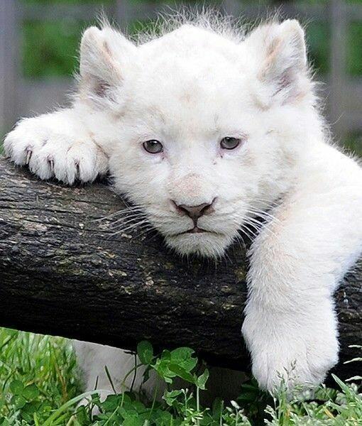 96422961_2890608054389316_8871451393102184448_n