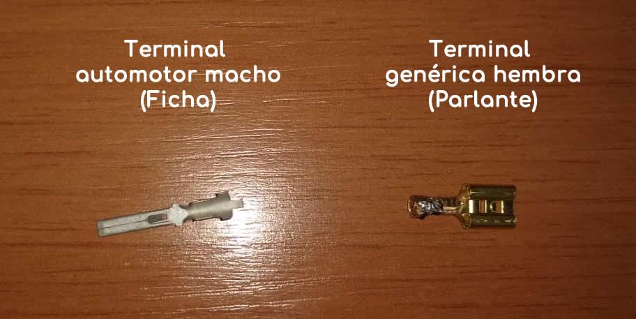 terminales